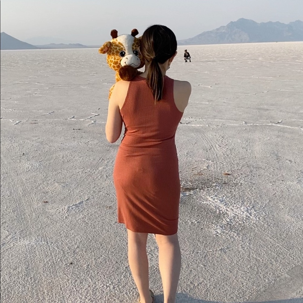 Meet your Posher, Mengju